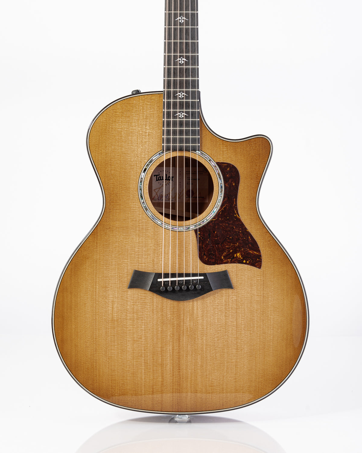 Taylor 514ce Urban Ironbark Acoustic Electric Guitar- Tobacco Gloss