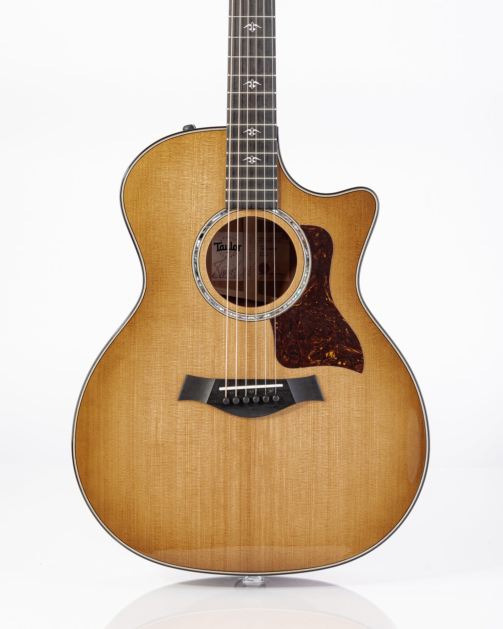 Taylor 514ce Urban Ironbark Acoustic Electric Guitar- Tobacco Gloss