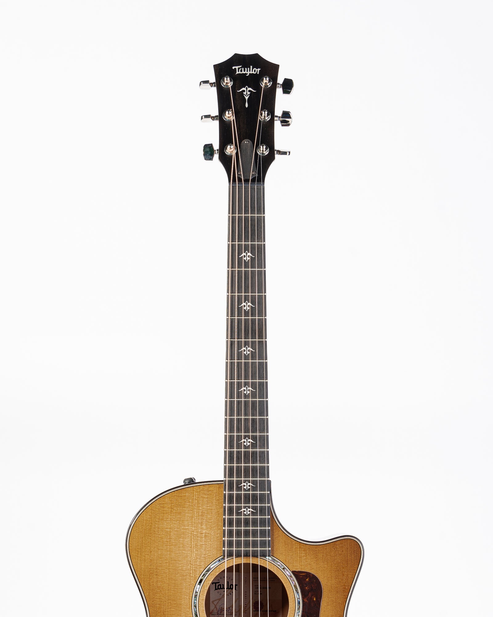 Taylor 514ce Urban Ironbark Acoustic Electric Guitar- Tobacco Gloss