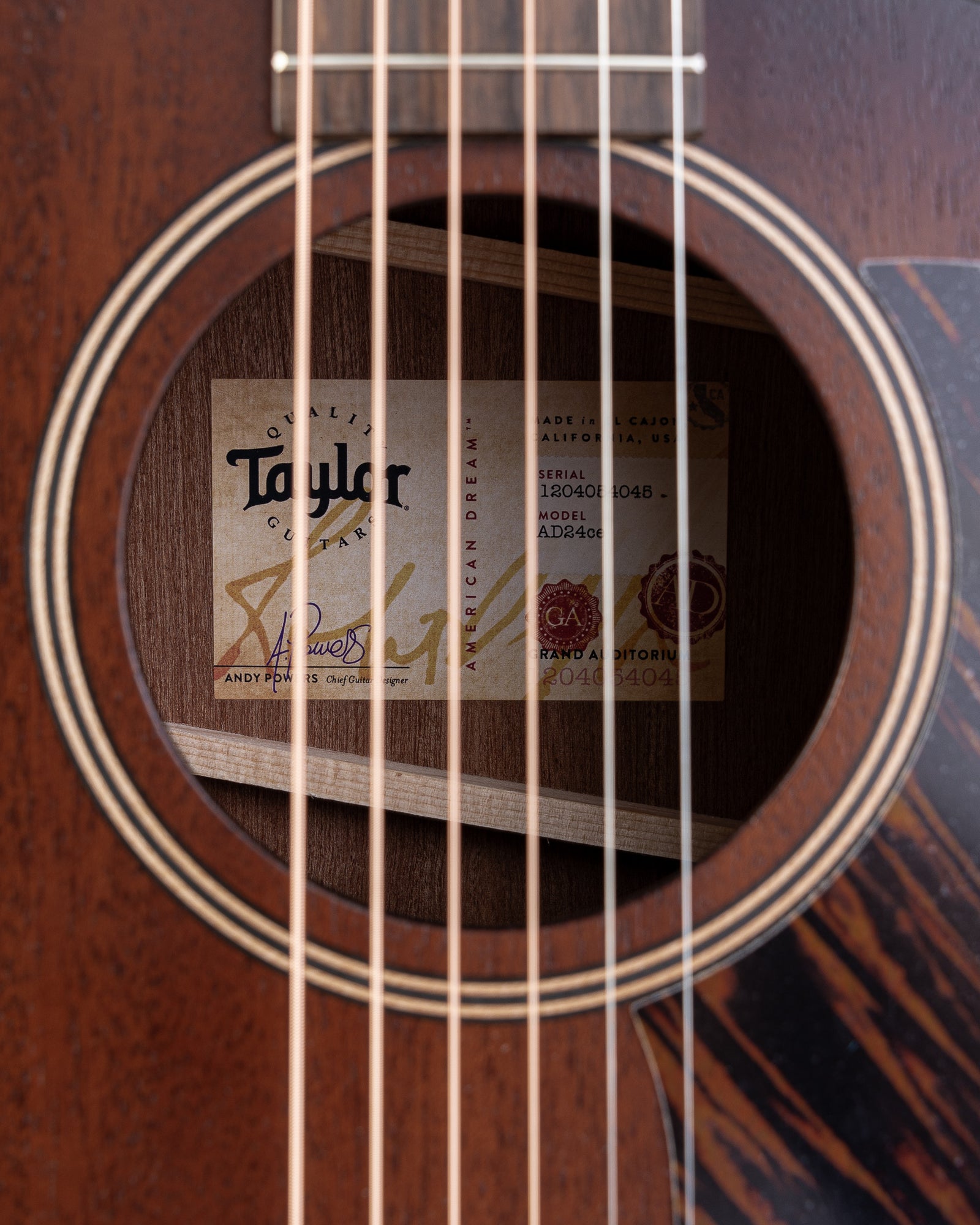 Taylor AD24ce Grand Auditorium Acoustic Electric Guitar - Neo-Tropical Mahogany with Aerocase