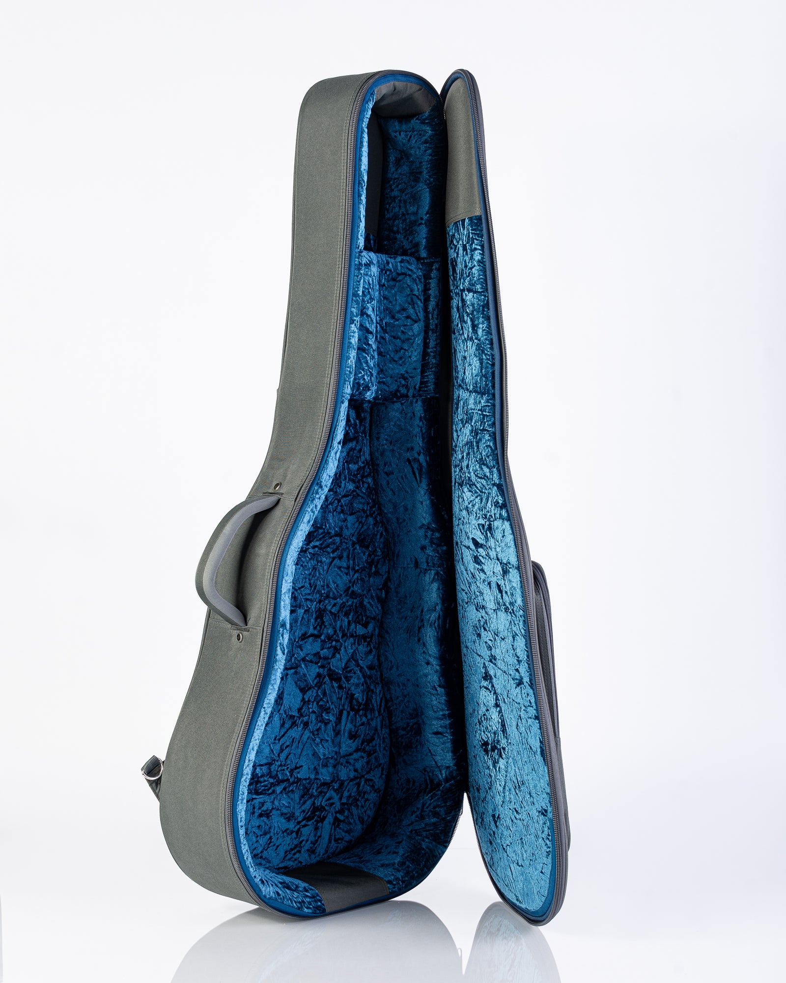 Taylor AD24ce Grand Auditorium Acoustic Electric Guitar - Neo-Tropical Mahogany with Aerocase