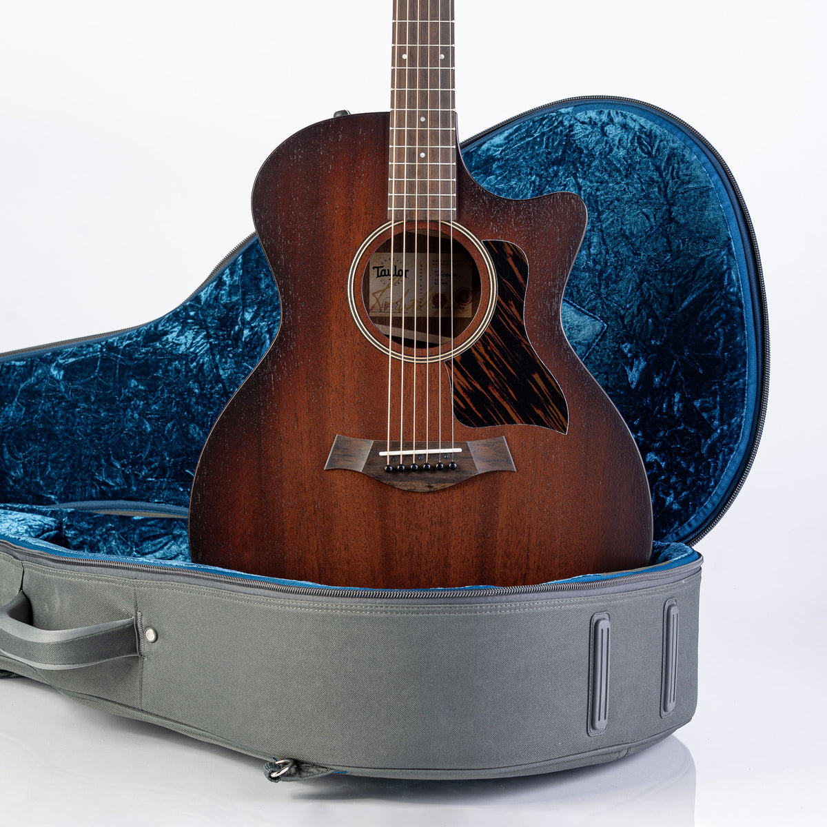 Taylor AD24ce Grand Auditorium Acoustic Electric Guitar - Neo-Tropical Mahogany with Aerocase