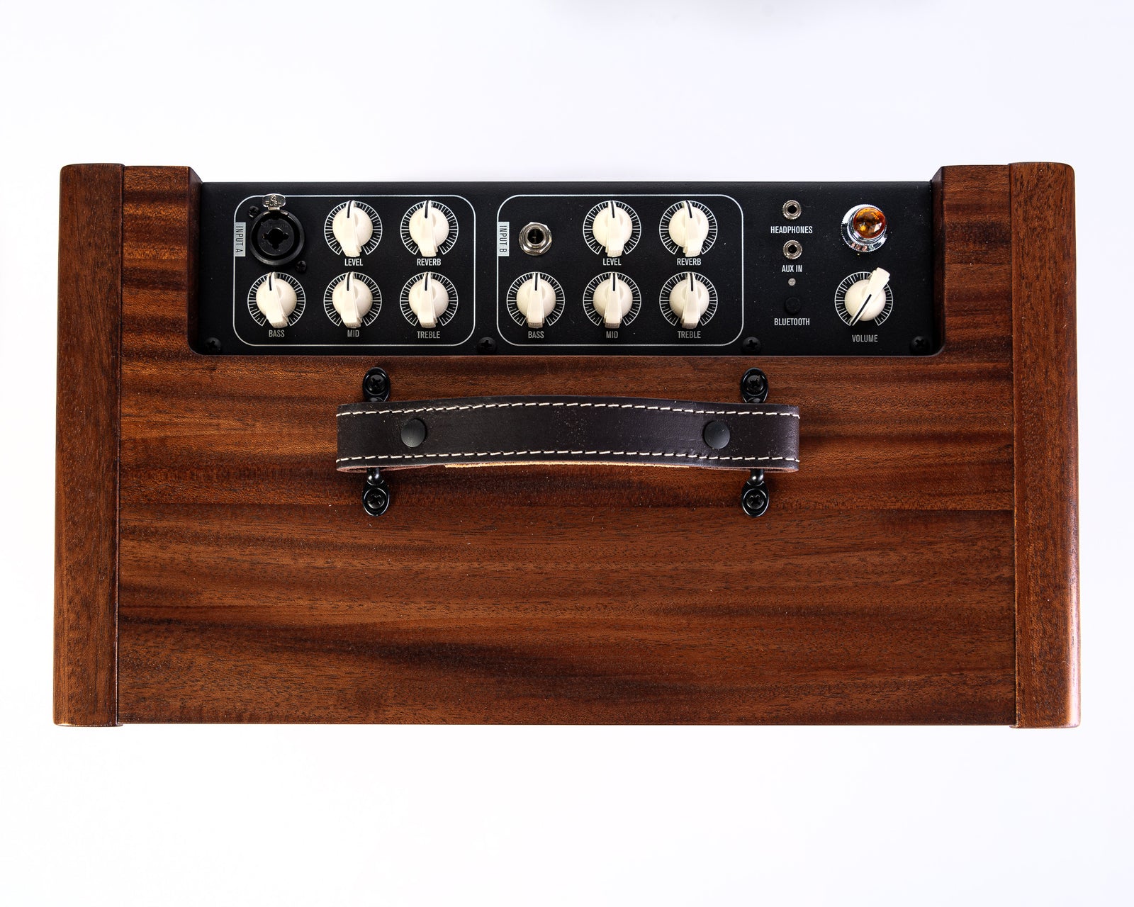 Taylor Circa 74 AV150-10 Acoustic Guitar and Vocal Amp