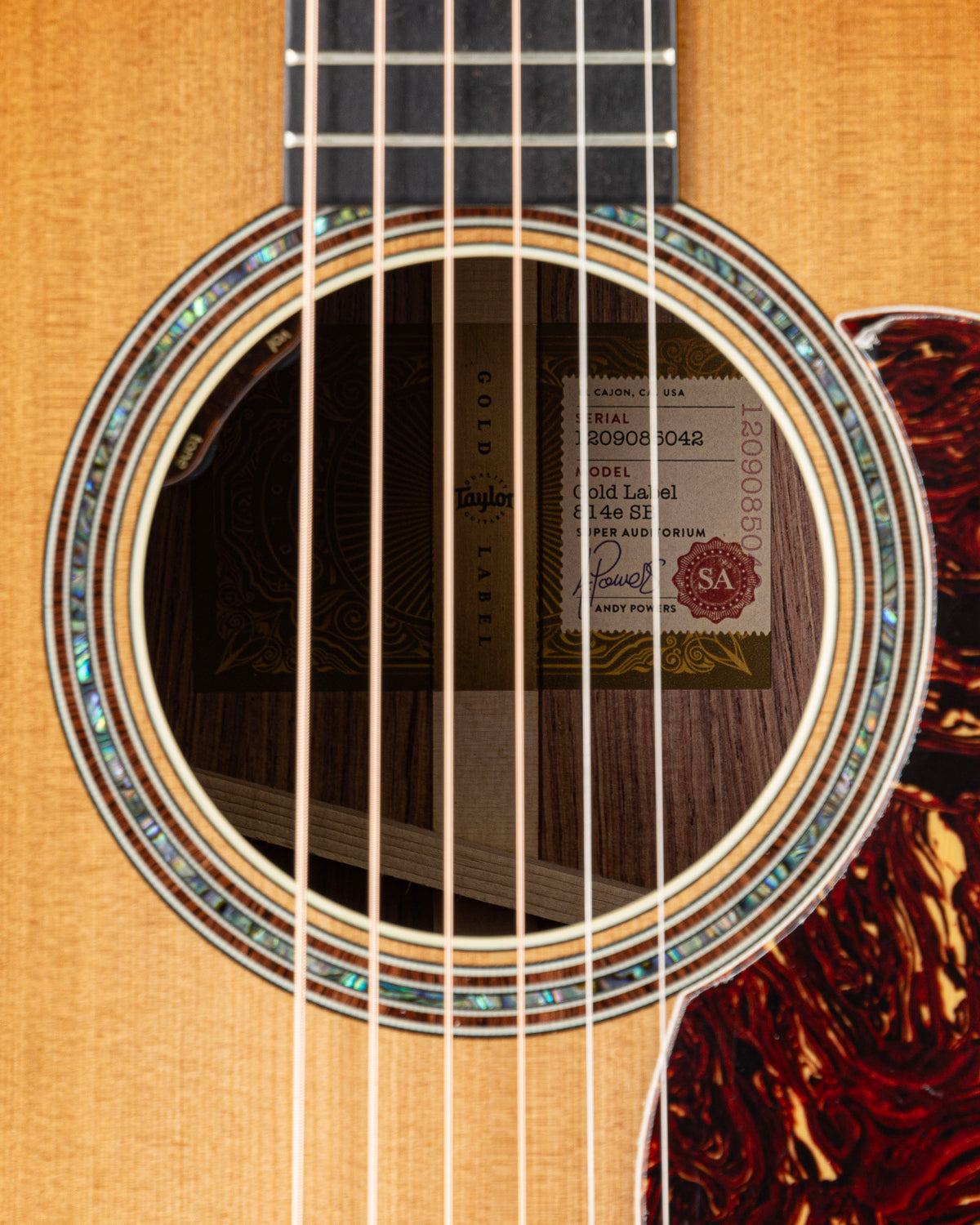 Taylor Gold Label 814e SB Acoustic Electric Guitar - Gold Brown Sunburst Top