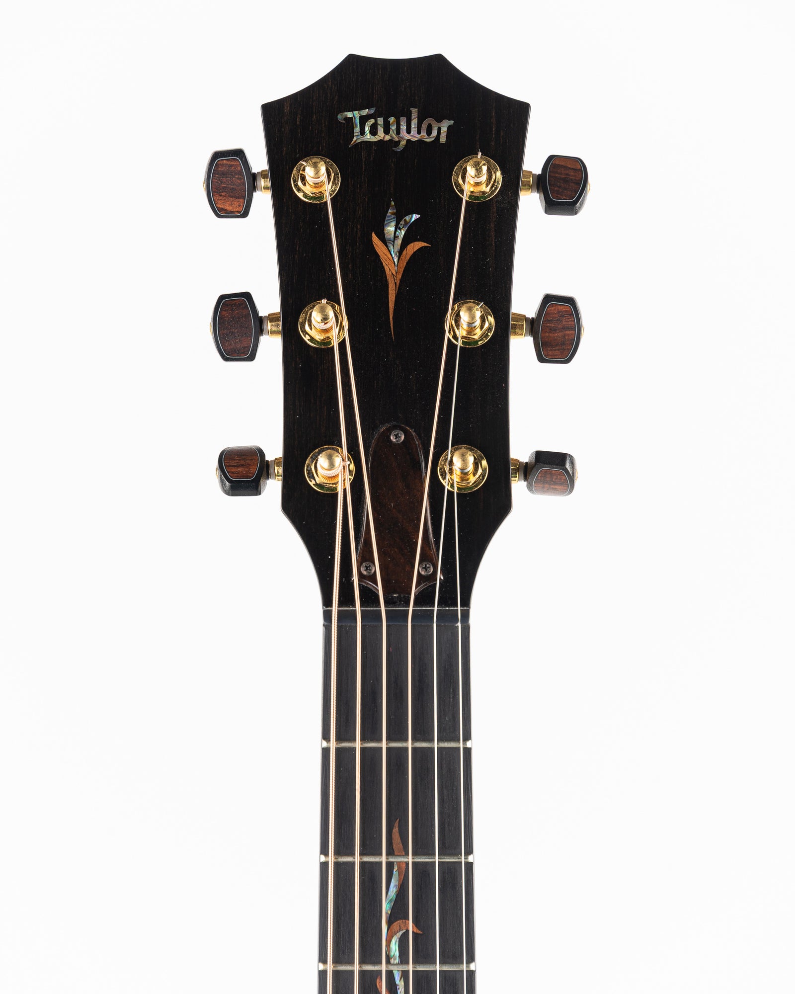 Taylor Catch Custom #27 Limited Edition C14ce B4027 Grand Auditorium Acoustic Electric Guitar - Bearclaw Sitka Spruce