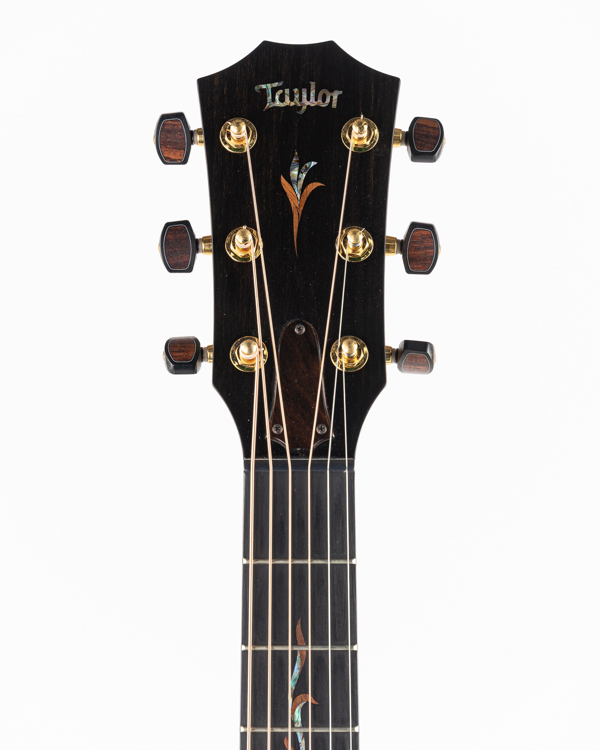 Taylor Catch Custom #27 Limited Edition C14ce B4027 Grand Auditorium Acoustic Electric Guitar - Bearclaw Sitka Spruce