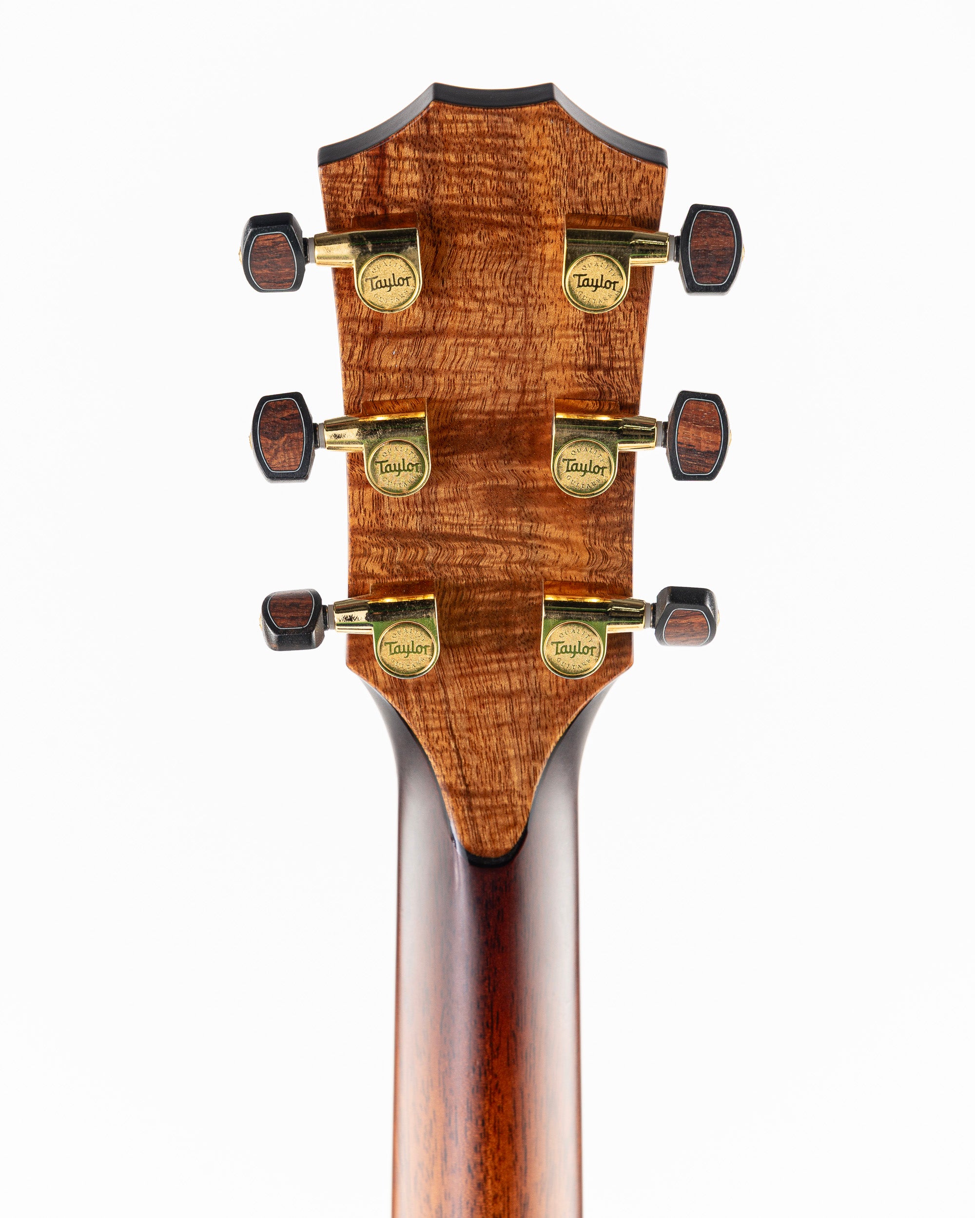 Taylor Catch Custom #27 Limited Edition C14ce B4027 Grand Auditorium Acoustic Electric Guitar - Bearclaw Sitka Spruce