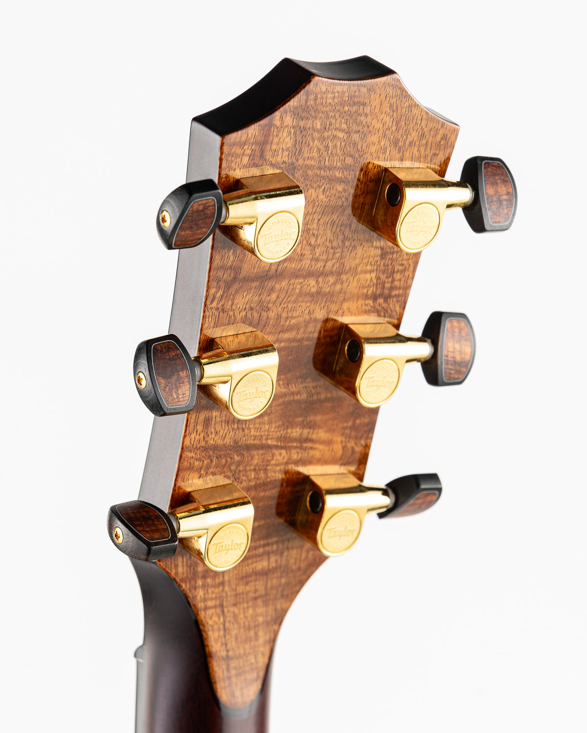 Taylor Catch Custom #27 Limited Edition C14ce B4027 Grand Auditorium Acoustic Electric Guitar - Bearclaw Sitka Spruce