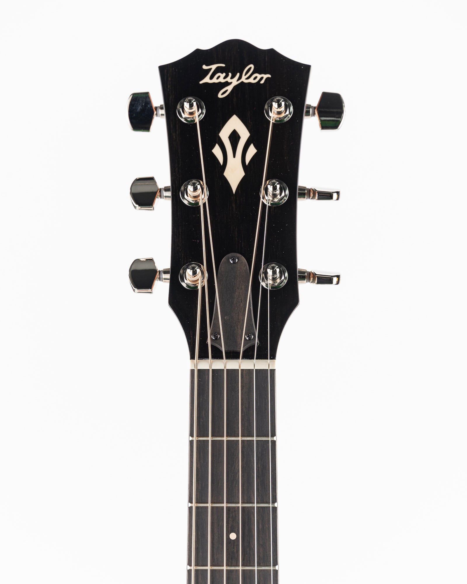 Taylor Gold Label 514e Acoustic Electric Guitar - Natural