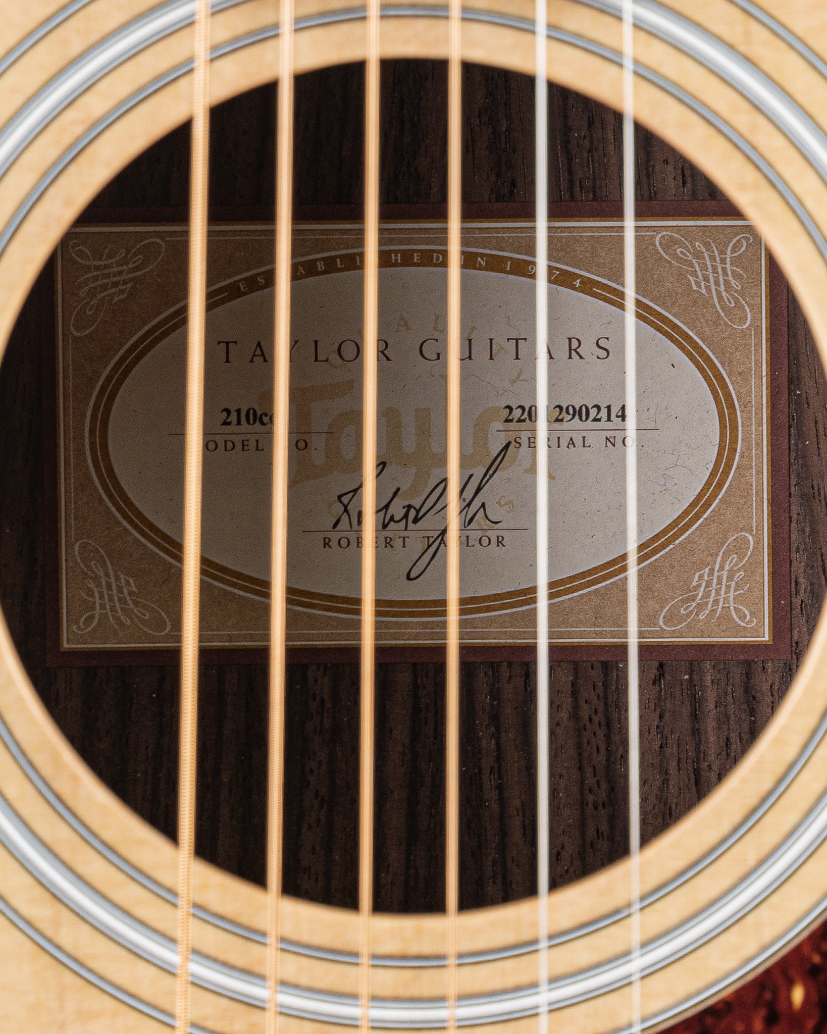 USED Taylor 210ce Acoustic Electric Guitar - Natural