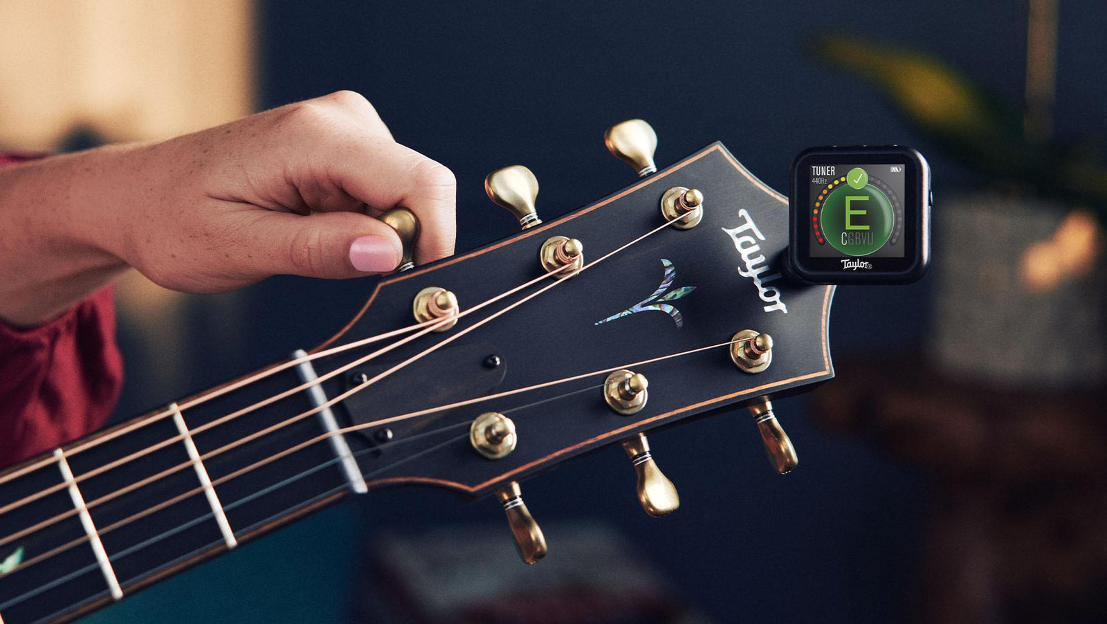 Taylor Beacon 5-Way Guitar Multi-Tool Tuner