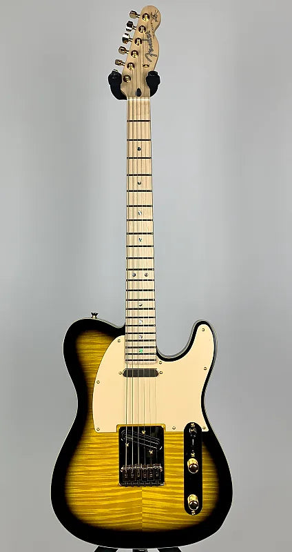 Fender Richie Kotzen Signature Tele Brown Sunburst