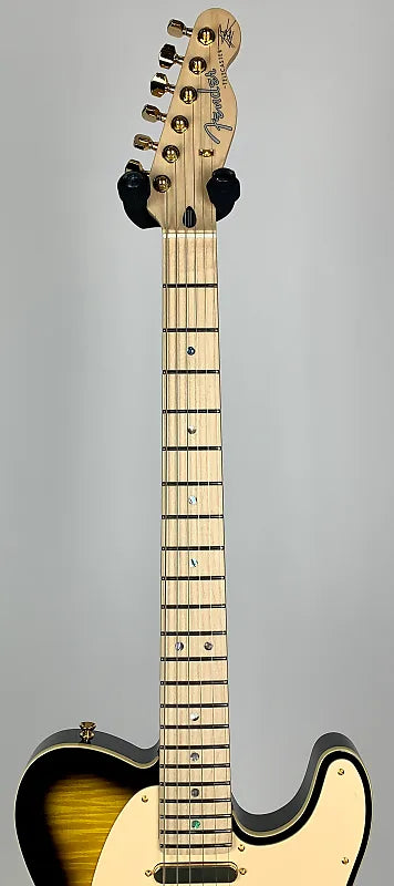 Fender Richie Kotzen Signature Tele Brown Sunburst