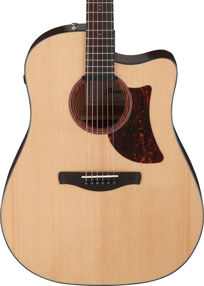 Ibanez Advanced Acoustic AAD170CE - Natural Low Gloss