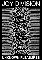 Joy Division - Unknown Pleasures 24" x 36" Poster