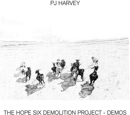 PJ Harvey - The Hope Six Demolition Project - Demos