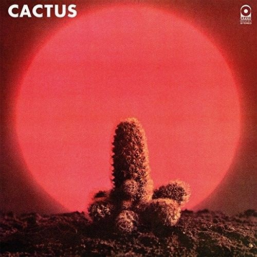 Cactus - ST