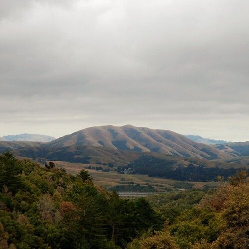 Dirty Projectors + Bjork - Mount Wittenberg Orca