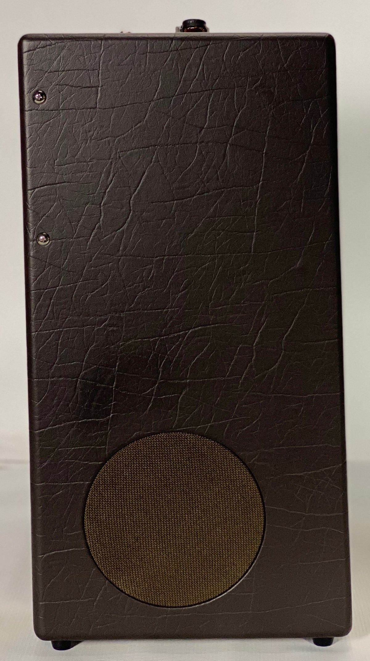 Fender Acoustic SFX II