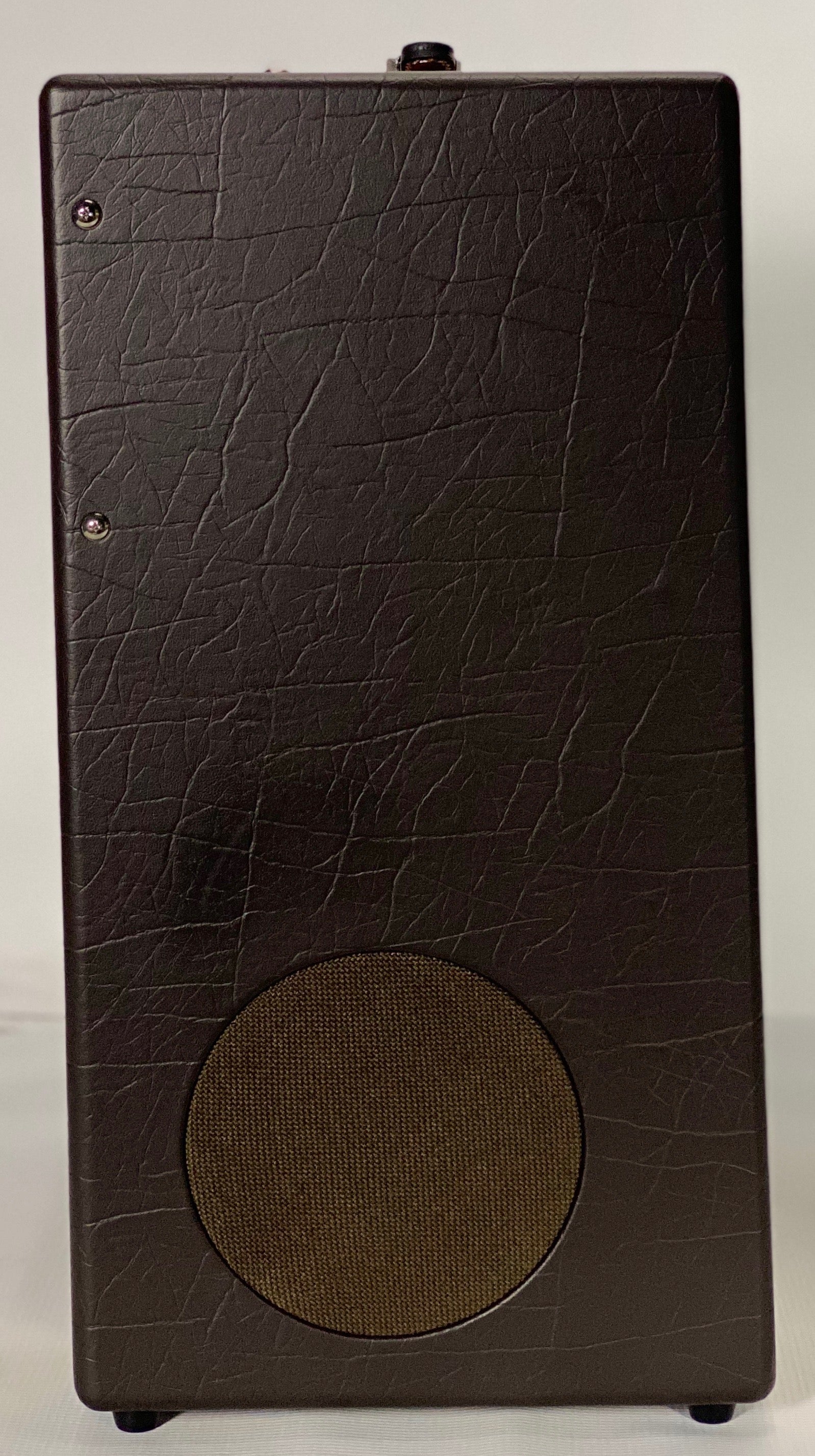 Fender Acoustic SFX II